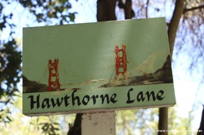 2. Lower Hawthorne (top) - small