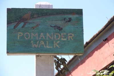 7. Pomander Walk (north) - small